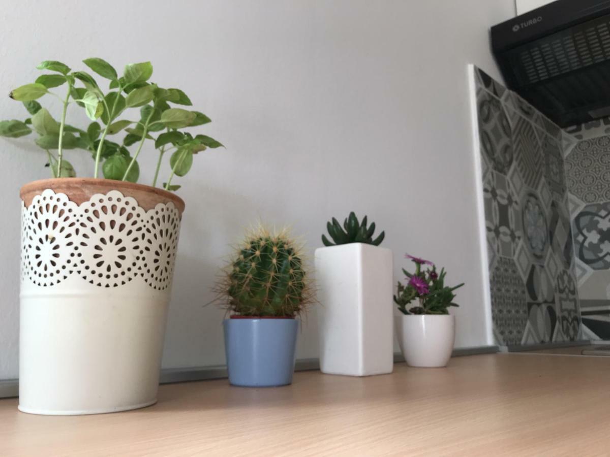 Lea&Tea'S Apartment Plano Экстерьер фото